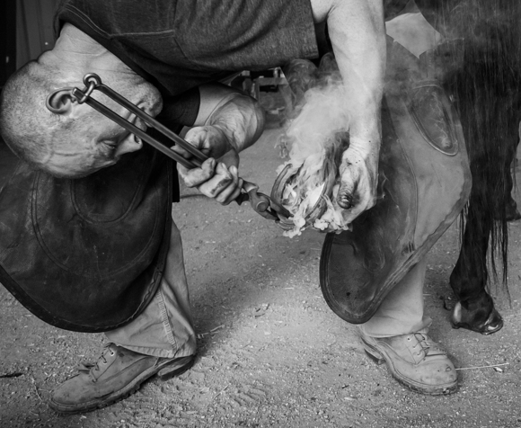 Farrier