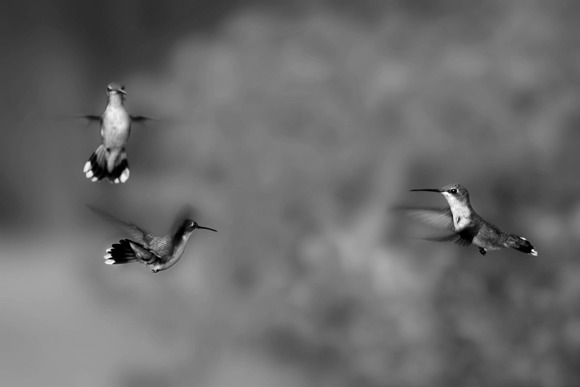 Aerial Ballet