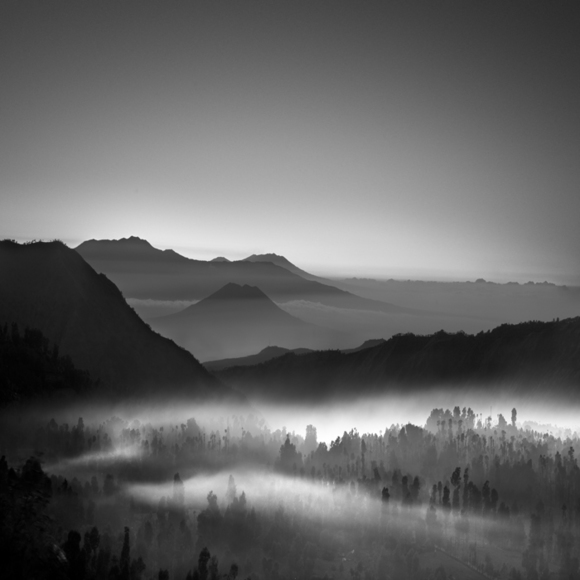 Dawn