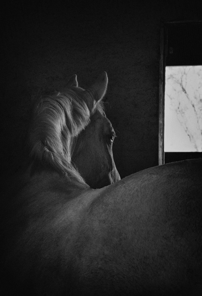 Barn Light #2
