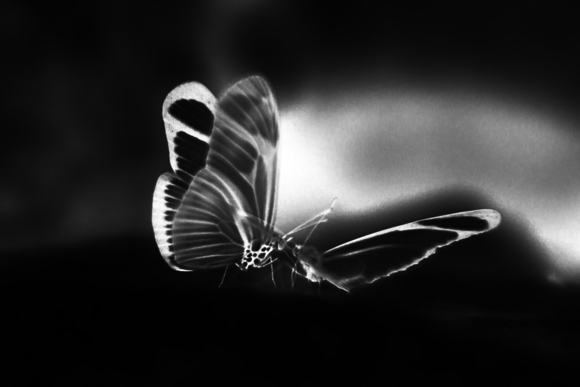 Psyche