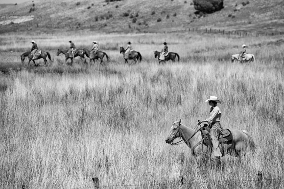 Round Up 