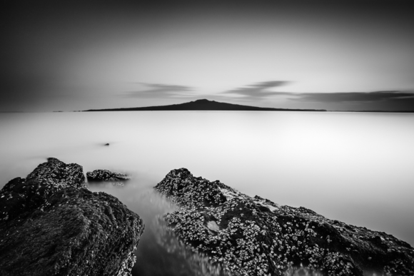 Rangi Dreams