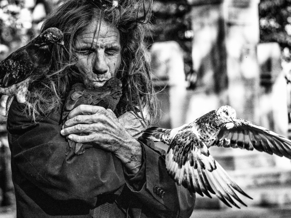 Bird in the Hand