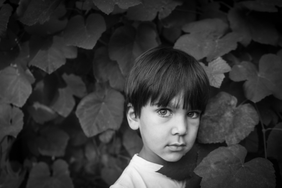 Talan