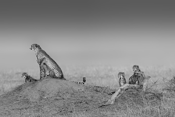Family Portrait