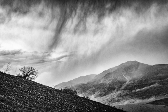 The Storm