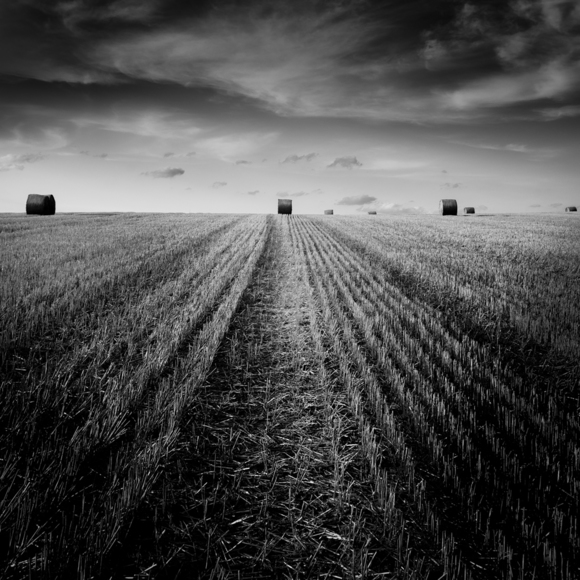 Harvest