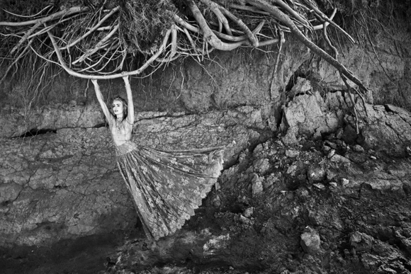 Roots