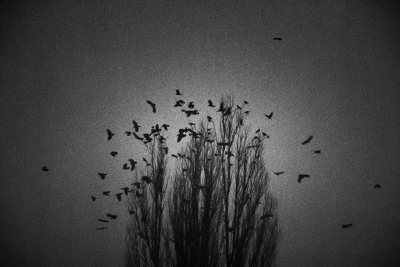 Winter (2)