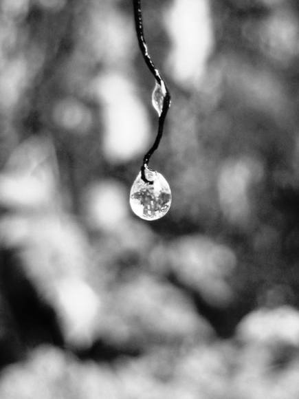After the rain