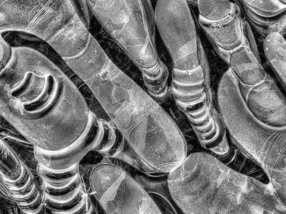 Ice Macro (Trachea & Bronchi)