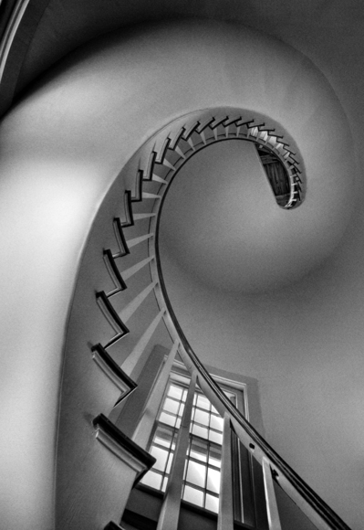 Nautilus