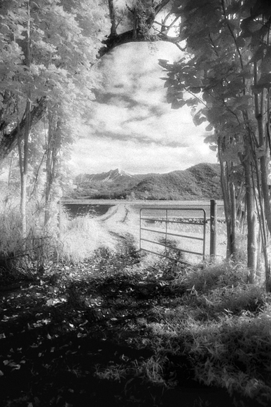 Sanctuary, Kauai