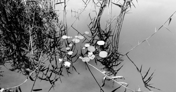 beijing water 04
