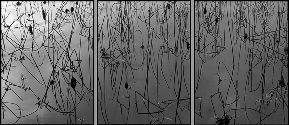 Lotus- Triptychon