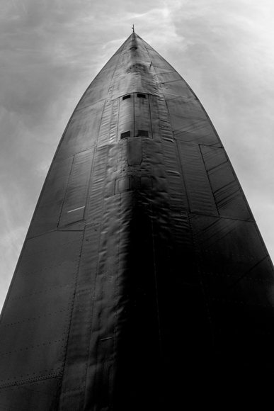 Blackbird