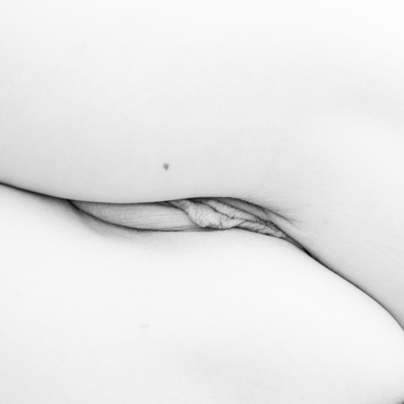 Labia Minora