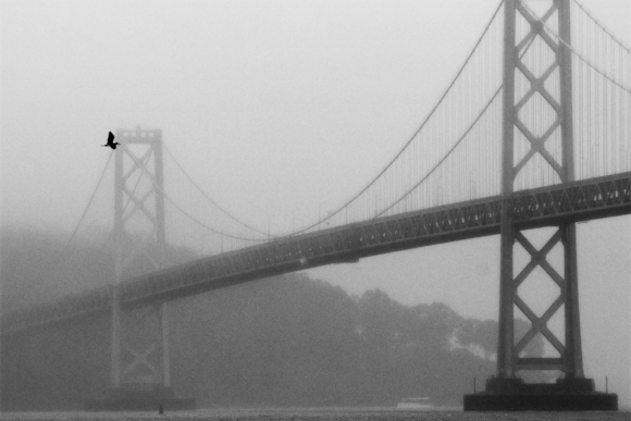 BAY BRIDGE