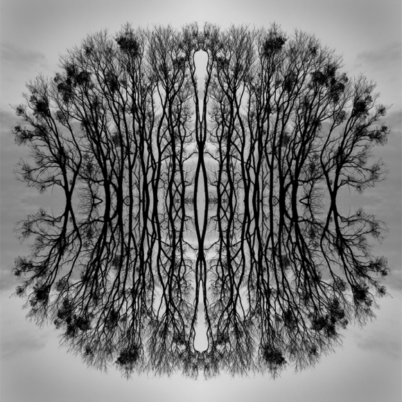 Tree 4x1
