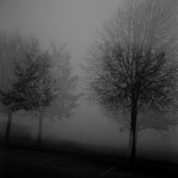 lost 