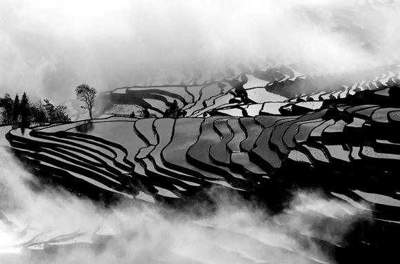 LAYER UPON LAYER TERRACE MEET THE CLOUD AND HEAVEN