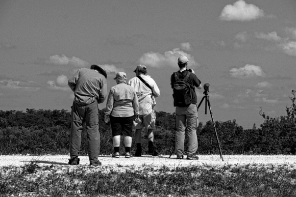 Birders
