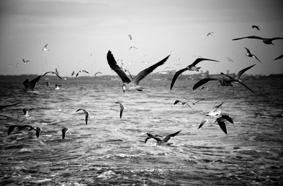 Ocean 2