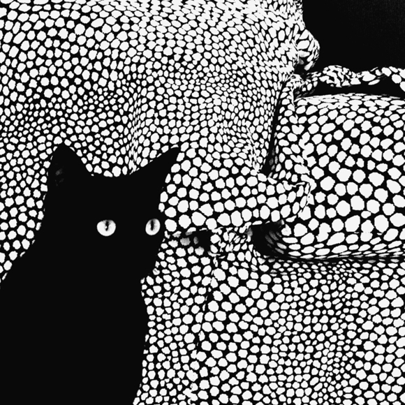 Dots
