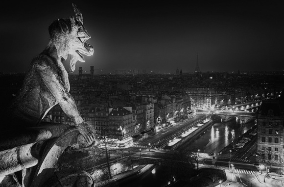 Chimere de Notre-Dame.