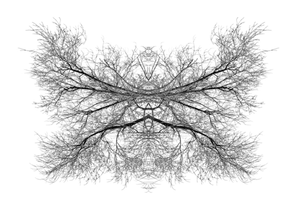 Rorschach 