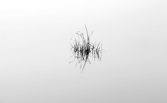 Dragonfly Island