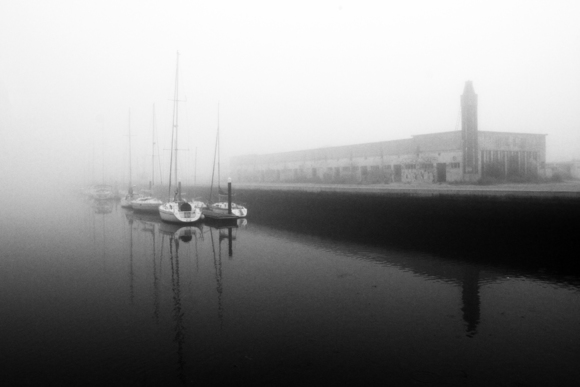Morning Fog