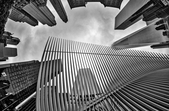 Oculus Above