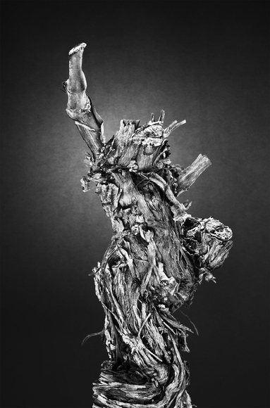 Liberty - Wine Vine 114