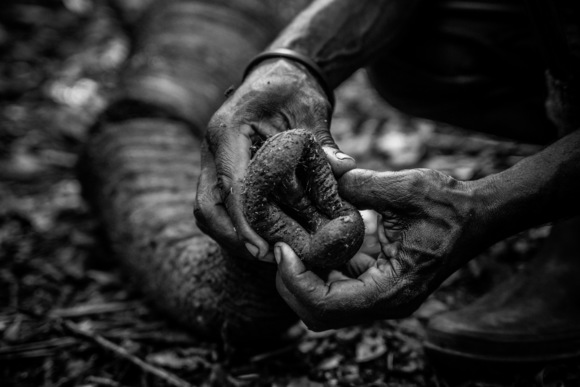 Holding On