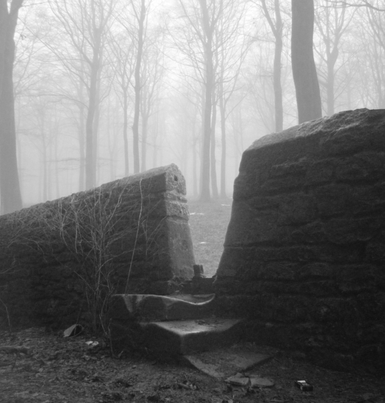 Raby Woods