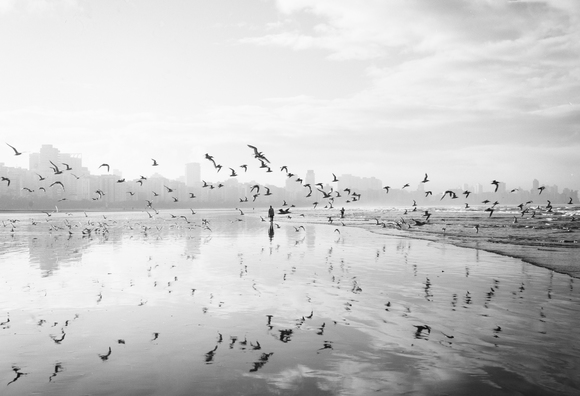Ods birds flock