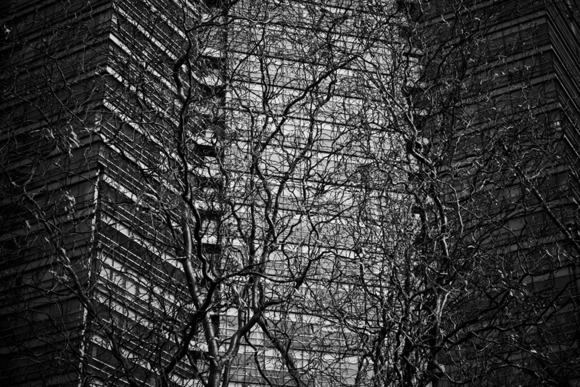 BABEL #11