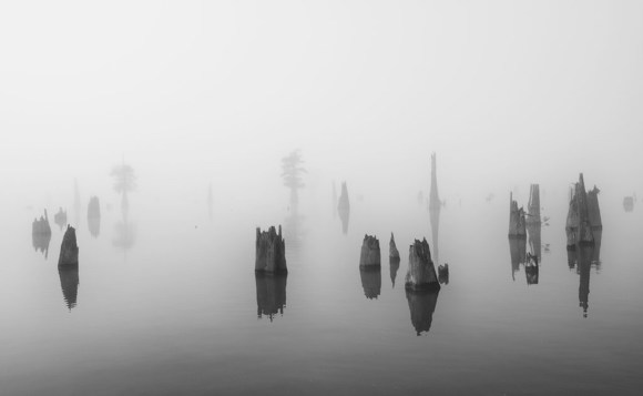 Swamp Ghosts
