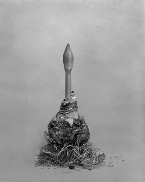 15-02-15 Emerging
