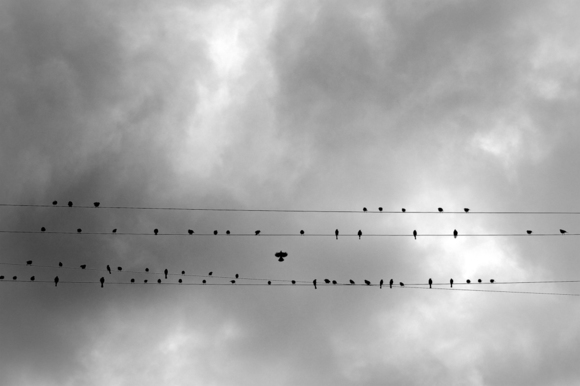 Out Of Line