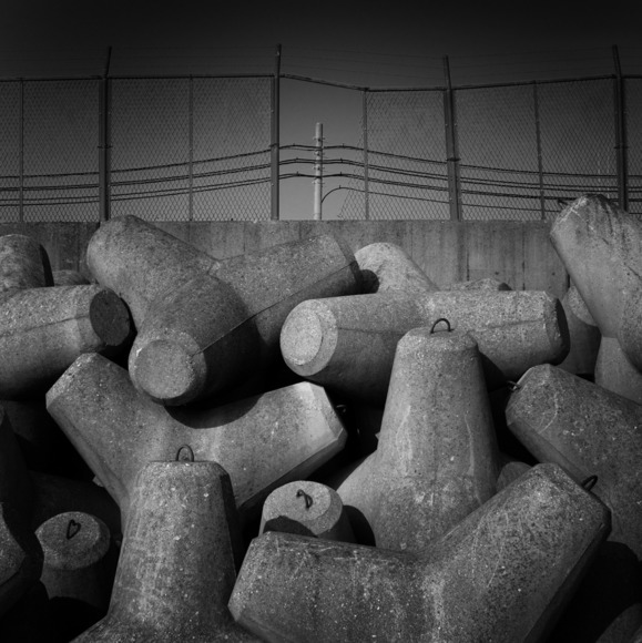 Tetrapod (3)