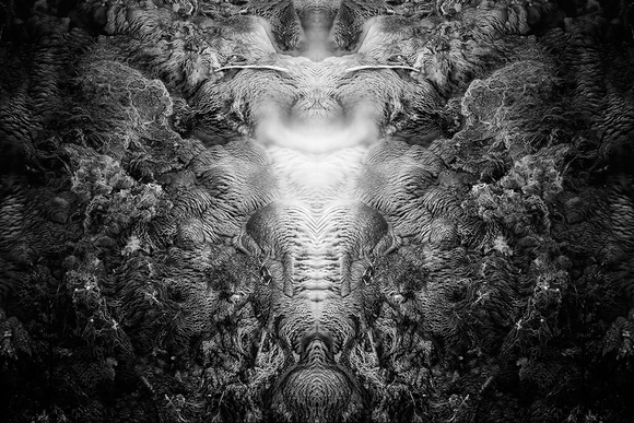 Phantasm No. 21