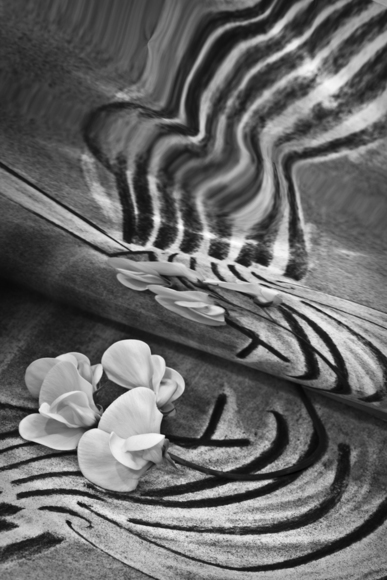 Untitled (6)