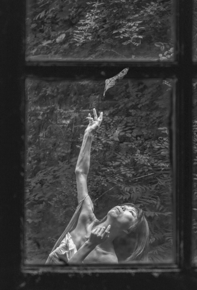 Leaf Reaching