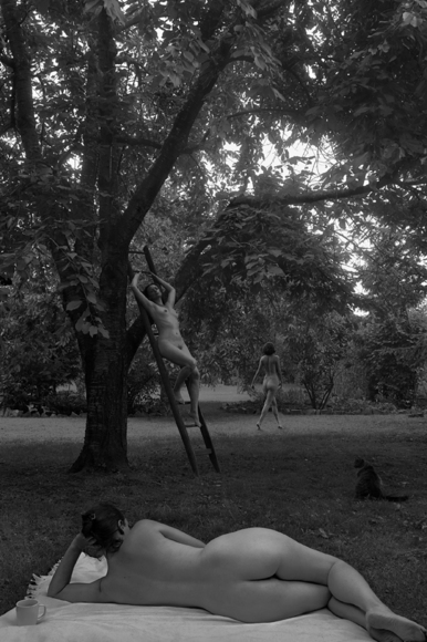 The Cherry Tree