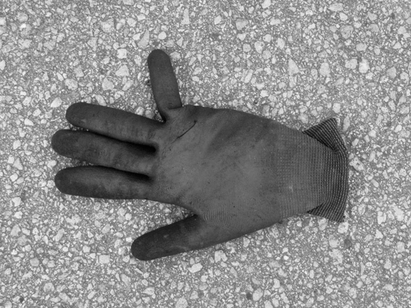 Glove Coconut Grove