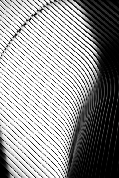 Oculus Detail