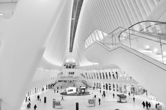 Oculus